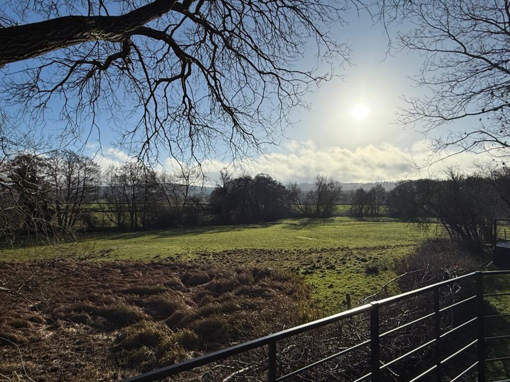 aec61023-16ce-4f9b-b38c-a906e9b2e2af